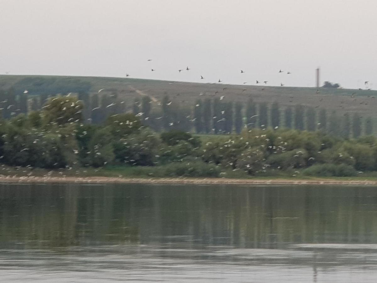 Casa Antonia Si Maria Ξενοδοχείο Ostrov Εξωτερικό φωτογραφία